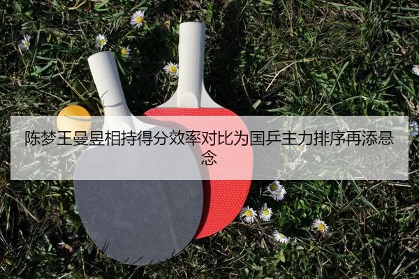 陈梦王曼昱相持得分效率对比为国乒主力排序再添悬念